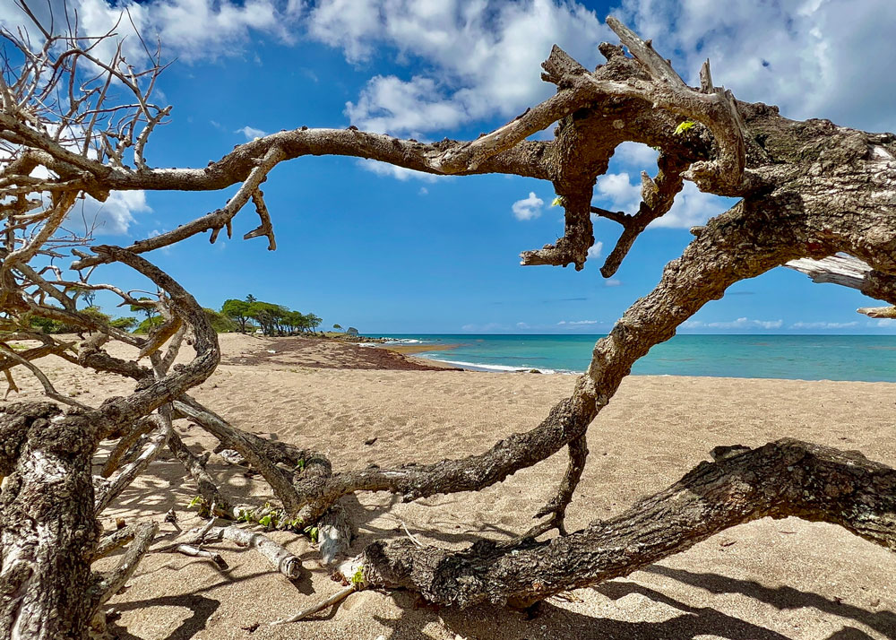 guadeloupe-03.jpg