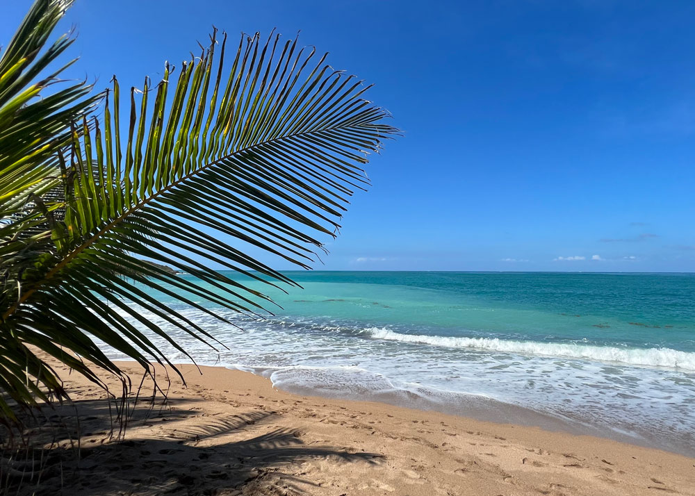 guadeloupe-strand.jpg