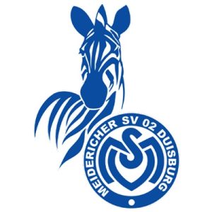 msv