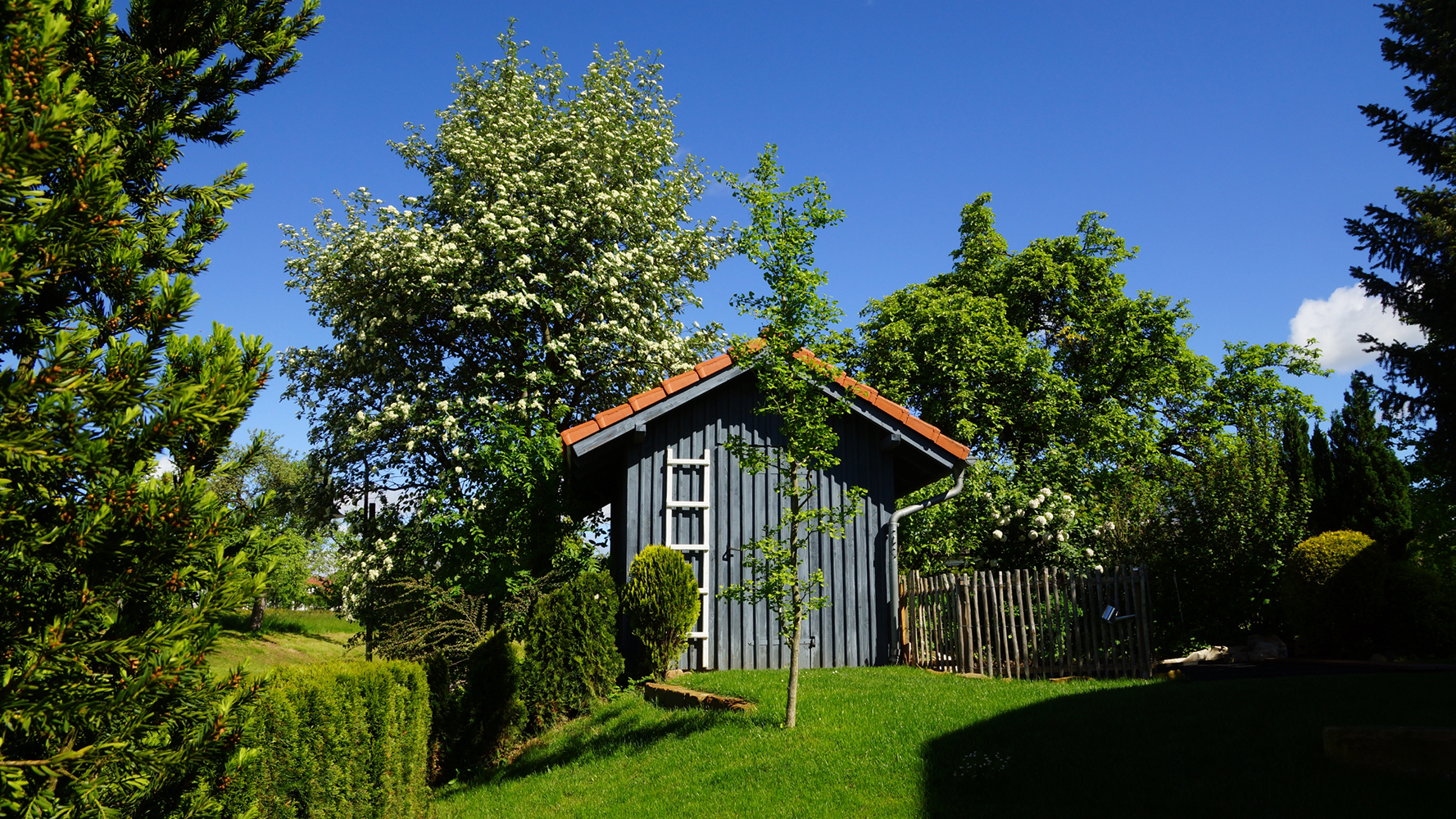 DSC02672